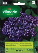 Zdjęcie Heliotrop Peruwiański Nasiona Tradycyjne 0.05G Vilmorin - Żerków