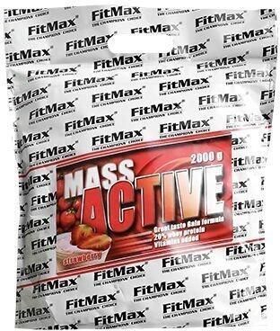 Fitmax Mass Active 2000g 
