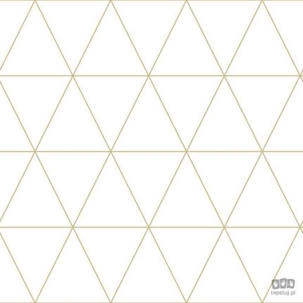 Origin Biała Z Linearnym Złotym Geometrycznym Wzorem 347682