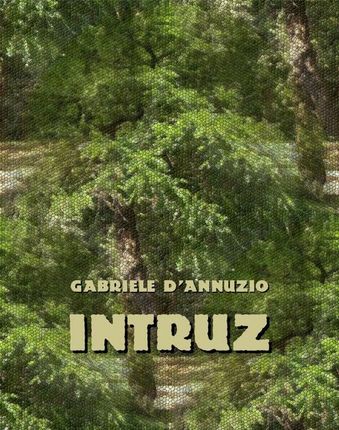 Intruz (EPUB)