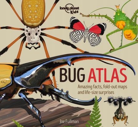 Bug Atlas Lonely Planet Kids