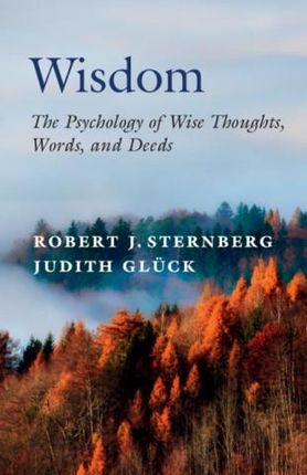 Robert J. Sternberg,Judith Glück - Wisdom