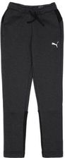 Zdjęcie Spodnie Puma Dresowe Junior [583122 07] - Jawor