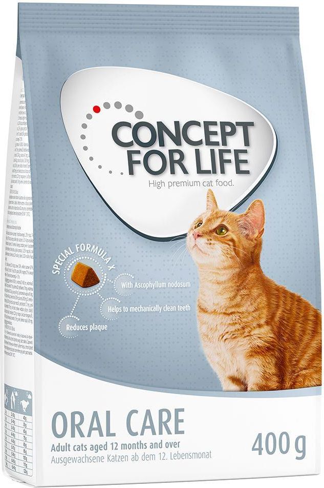 Concept for hot sale life cat