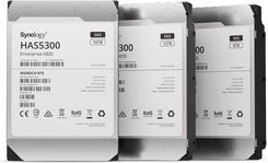 Synology Harddisk HAS5300 3.5 SAS 8 TB -• 8 TB (256 MB Cache - 7.200 U/min)• 3,5 Zoll (HAS53008T)