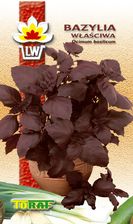 Zdjęcie Toraf Bazylia czerwona 1g T - Sobótka