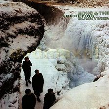 Zdjęcie Echo & Bunnymen: Porcupine (Reprint) [Winyl] - Legnica