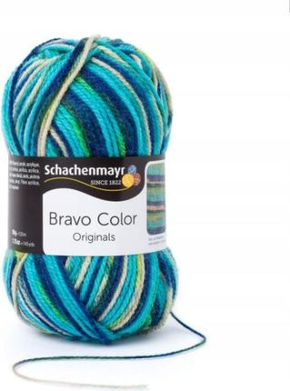 Włóczka Schachenmayr Bravo Color (02119)