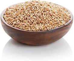 Zdjęcie Pszenica Bio / Trawa Pszeniczna Na Sok - Przysucha