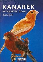 Zdjęcie Kanarek w naszym domu - Przedbórz