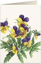 Zdjęcie Tassotti Karnet B6 + Koperta 8036 Bratki - Ścinawa