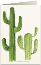 Zdjęcie Tassotti Karnet B6 + Koperta 5986 Kaktusy - Dolsk