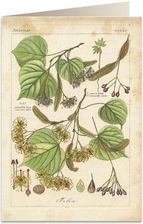 Zdjęcie Tassotti Karnet B6 + Koperta 6056 Lipa - Poznań