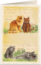 Zdjęcie Tassotti Karnet B6 + Koperta 5904 Koty - Olsztyn