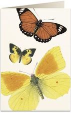 Zdjęcie Tassotti Karnet B6 + Koperta 8037 Motyle - Żywiec