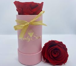 Wieczne Róże Czerwona Żywa Wieczna Róża Różowy Flower Box Mini LS601 - Kompozycje kwiatowe