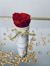 Wieczne Róże Czerwona Żywa Wieczna Róża Biały Flower Box Mini LS619 - Kompozycje kwiatowe