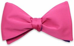 Zdjęcie Klasyczna różowa mucha wiązana - Libiąż