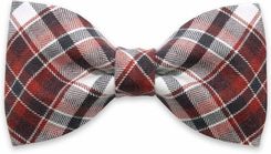 Zdjęcie Mucha męska w kolorową kratkę - Libiąż