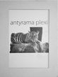 RAW WEST ANTYRAMA PLEXI A3 30X40 ANTYRAMY RAMKA (2611)