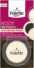 Zdjęcie Palette Compact Root Retouch korektor do maskowania odrostów w pudrze Brąz 3g - Zielona Góra