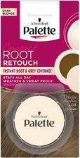 Zdjęcie Palette Compact Root Retouch korektor do maskowania odrostów w pudrze Ciemny Blond 3g - Świebodzin