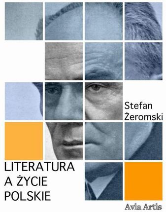 Literatura a życie Polskie (EPUB)