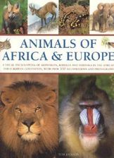 Zdjęcie Animals of Africa and Europe - Kłecko