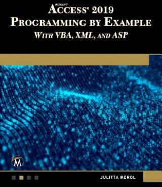 microsoft access 2019 programming by example with vba xml and asp