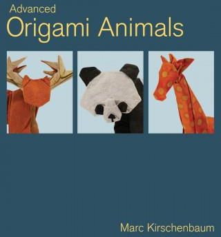 Advanced Origami Animals - Literatura obcojęzyczna - Ceny i opinie ...