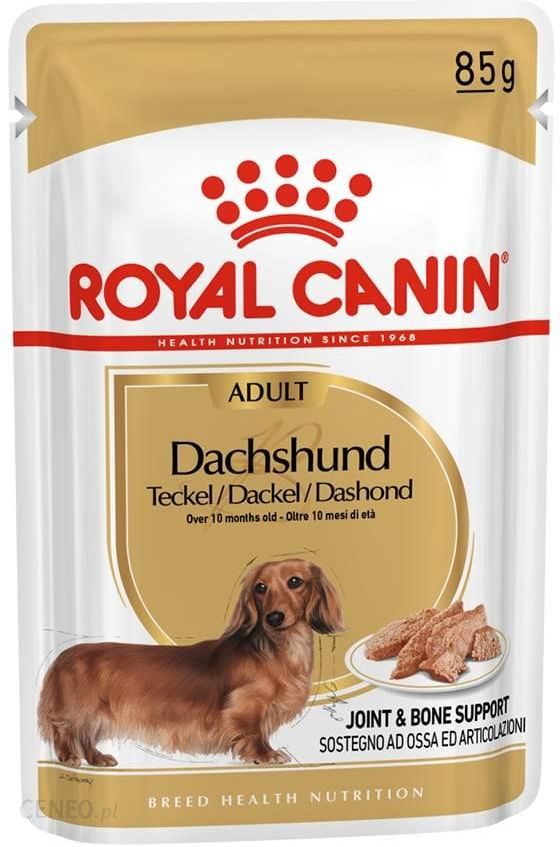 Royal Canin BHN Adult Dachshund - mokra karma dla dorosłych psów rasy jamnik 12x85g