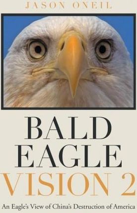 Bald Eagle Vision 2