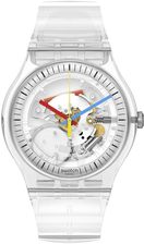 Swatch SO29K100