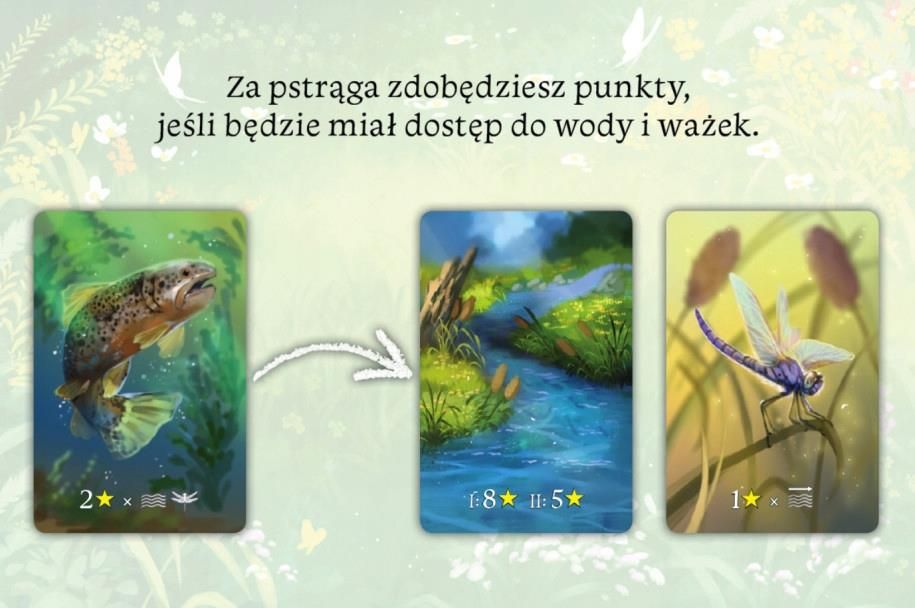 Nasza Księgarnia Ekosystem - zdjęcie 1 Nasza Księgarnia Ekosystem