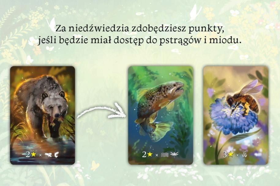 Nasza Księgarnia Ekosystem - zdjęcie 5 Nasza Księgarnia Ekosystem