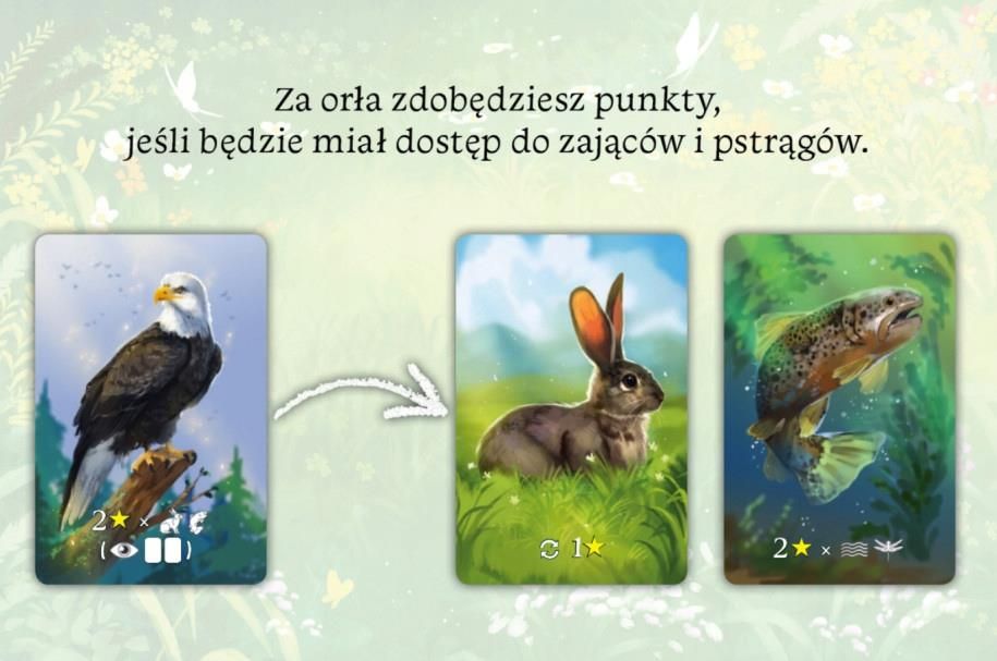 Nasza Księgarnia Ekosystem - zdjęcie 6 Nasza Księgarnia Ekosystem