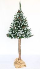 Toyland Choinka Na Pniu Sosna Szroniona Z Szyszką 220cm