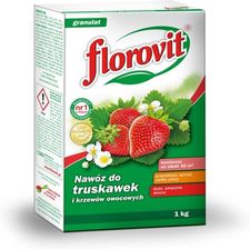 Zdjęcie Florovit do Truskawek i Krzewów Owocowych 1kg - Biecz