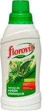 Zdjęcie Florovit płynny nawóz do roślin zielonych 500ml - Płock