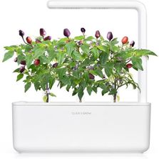 Click And Grow Click'Grow Kapsułki Z Nasionami Smart Soil Purpurowe Chili 3Pak