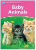 Baby Animals Dolphin Readers Starter