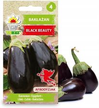 Zdjęcie Bakłażan Black Beauty 1G - Wrocław