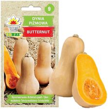 Zdjęcie Dynia Piżmowa Butternut 5G - Wrocław