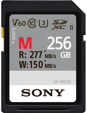 Sony Atminties kortelė SDXC Professional 256GB Class 10 UHS-II (SFG2M)