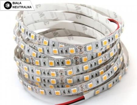 Uniled Taśma LED 11,5W/1m biała neutralna 1060lm/1m diody smd 5050 IP00 60 led/1m CRI>80 12V PROFESJONALNA (S5050300WN00)