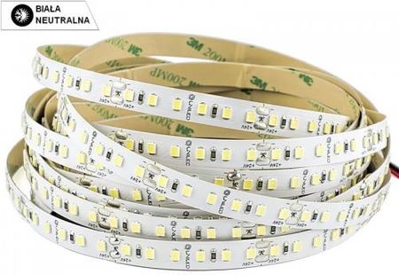 Uniled Taśma LED 24V 12,5W/1m biała neutralna 1220lm/1m diody smd 2835 IP00 120 led/1m CRI>80 PROFESJONALNA (G2835600WN00)