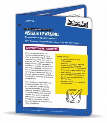 The On-Your-Feet Guide to Visible Learning: Assess