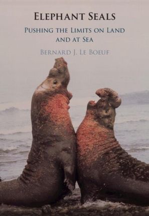 Elephant Seals: Pushing the Limits on Land and at