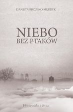 Zdjęcie Niebo bez ptaków - Oświęcim