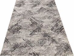 Profeos Szary Nowoczesny We Wzory Roseto 4x60x100cm - Dywany i wykładziny dywanowe